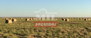 Fazenda em Wanderley - Bahia – Mil Fazendas