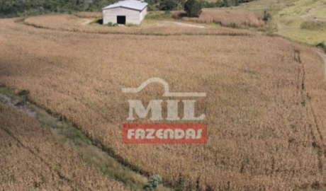 Fazenda em Alexânia - Goiás – Mil Fazendas