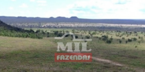 Fazenda em Alto Taquari - Mato Grosso – Mil Fazendas