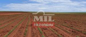 Fazenda em Aporé - Goiás – Mil Fazendas