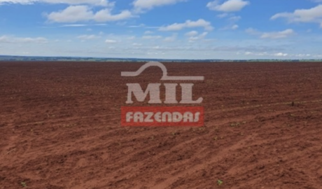 Fazenda em Aporé - Goiás – Mil Fazendas