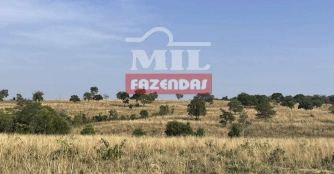 Fazenda em Araguaçu - Tocantins – Mil Fazendas