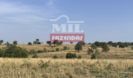 Fazenda em Araguaçu - Tocantins – Mil Fazendas