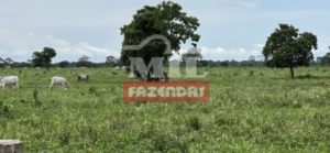 Fazenda em Araguaiana - Mato Grosso – Mil Fazendas