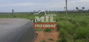 Fazenda em Araguaína - Tocantins – Mil Fazendas