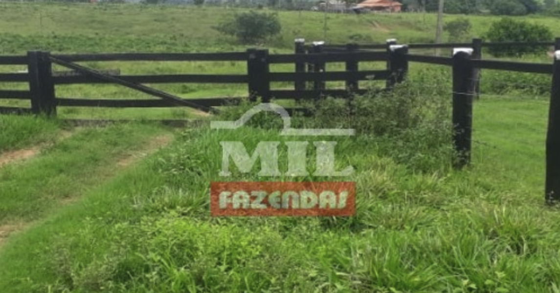 Fazenda em Araguaína - Tocantins – Mil Fazendas