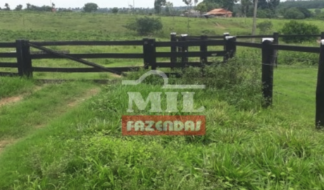 Fazenda em Araguaína - Tocantins – Mil Fazendas