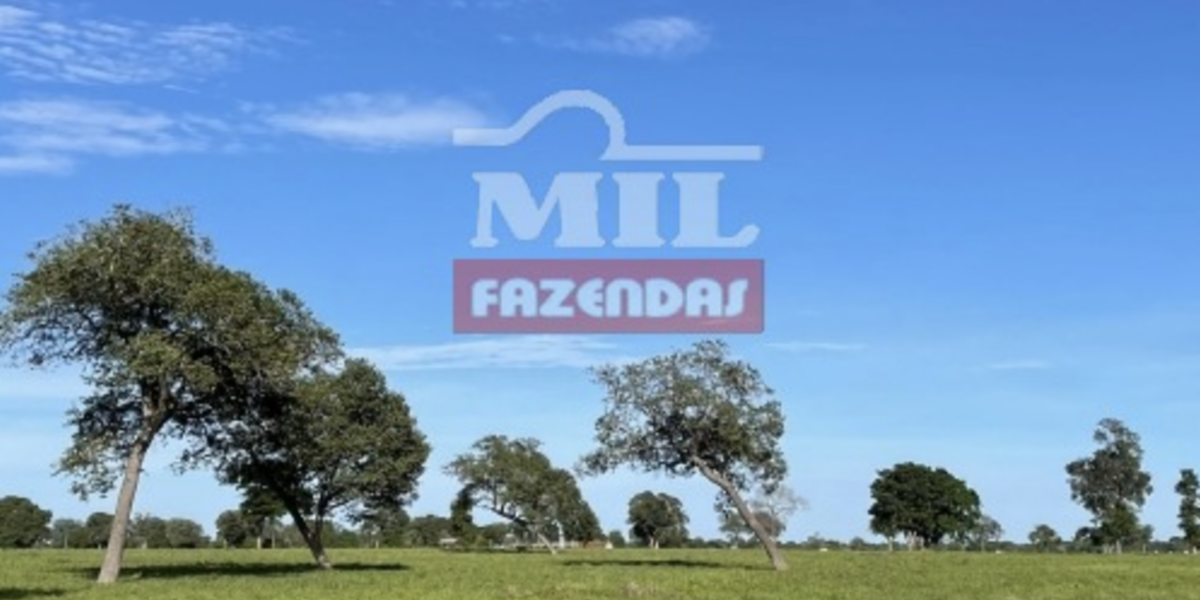 Fazenda em Aruanã - Goiás – Mil Fazendas