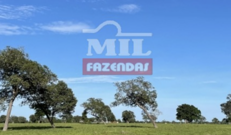 Fazenda em Aruanã - Goiás – Mil Fazendas