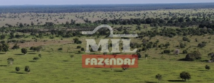 Fazenda em Aruanã - Goiás – Mil Fazendas