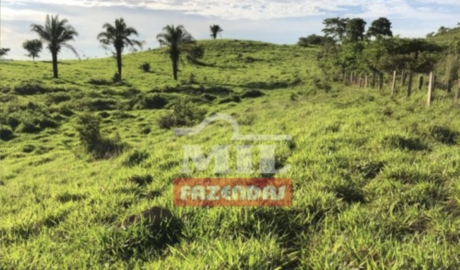 Fazenda em Baliza - Goiás – Mil Fazendas