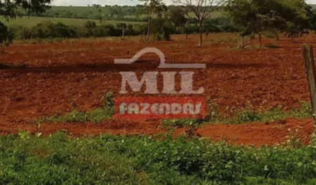 Fazenda em Barra do Garças - Mato Grosso – Mil Fazendas