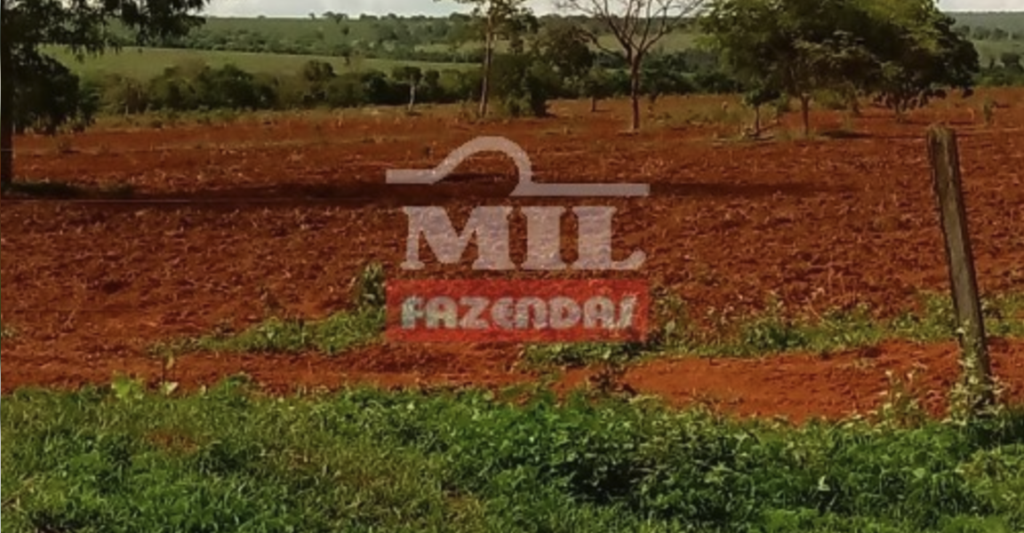 Fazenda em Barra do Garças - Mato Grosso – Mil Fazendas