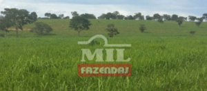 Fazenda em Barra do Garças - Mato Grosso – Mil Fazendas