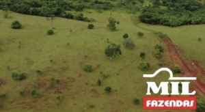 Fazenda em Barro Alto - Goiás – Mil Fazendas