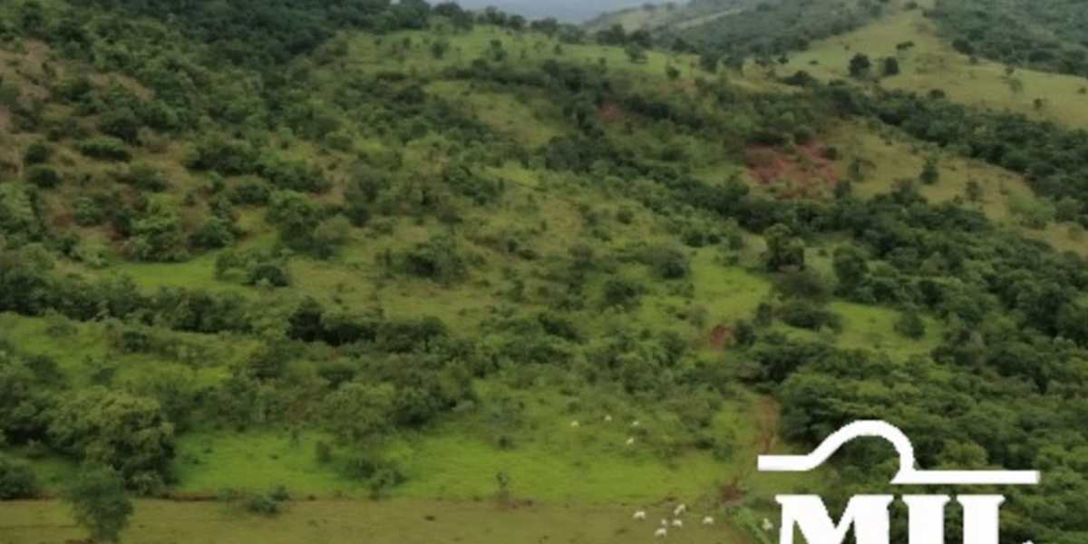 Fazenda em Barro Alto - Goiás – Mil Fazendas