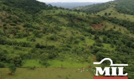 Fazenda em Barro Alto - Goiás – Mil Fazendas