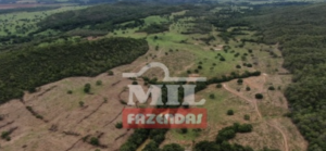 Fazenda em Caldas Novas - Goiás – Mil Fazendas