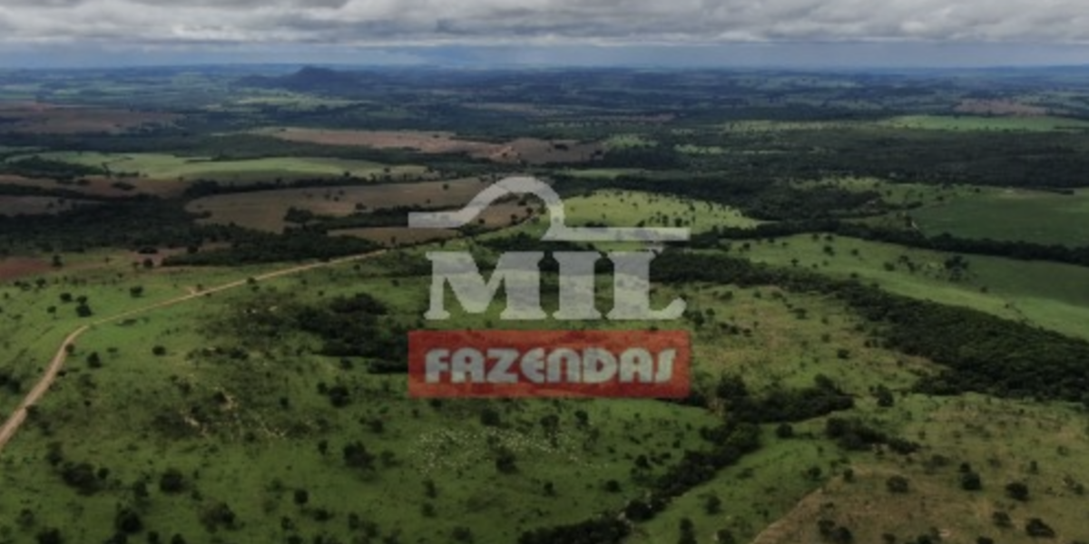 Fazenda em Caldas Novas - Goiás – Mil Fazendas