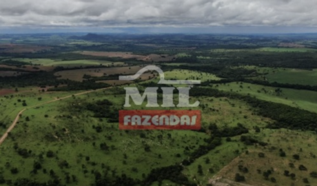 Fazenda em Caldas Novas - Goiás – Mil Fazendas