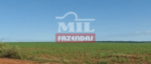 Fazenda em Canarana - Mato Grosso – Mil Fazendas