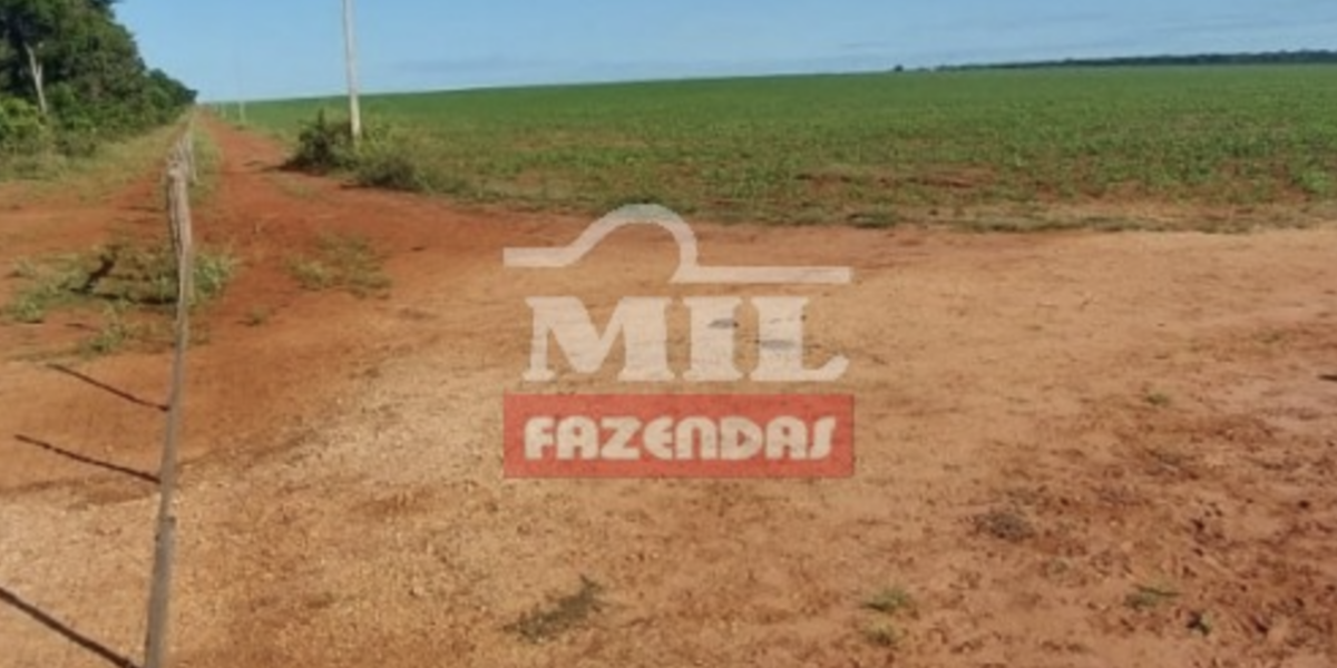 Fazenda em Canarana - Mato Grosso – Mil Fazendas