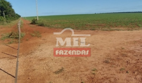 Fazenda em Canarana - Mato Grosso – Mil Fazendas