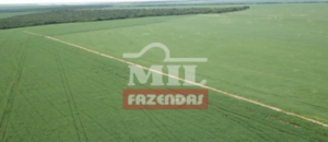 Fazenda em Canarana - Mato Grosso – Mil Fazendas