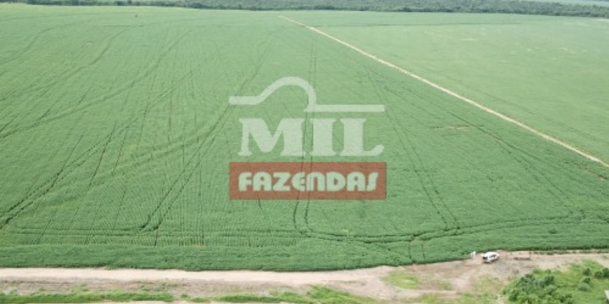 Fazenda em Canarana - Mato Grosso – Mil Fazendas