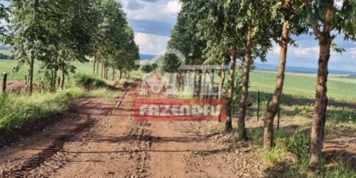 Fazenda em Chapadão do Céu - Goiás – Mil Fazendas