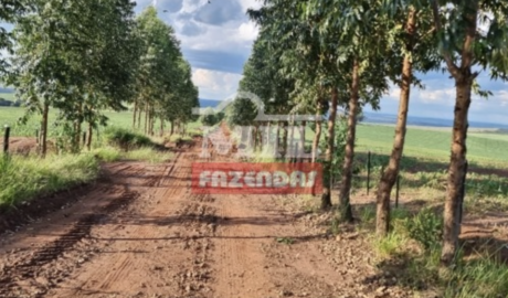 Fazenda em Chapadão do Céu - Goiás – Mil Fazendas