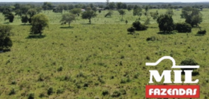  Fazenda em Cocalinho - Mato Grosso – Mil Fazendas