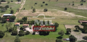 Fazenda em Cocalinho - Mato Grosso – Mil Fazendas