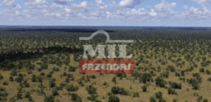 Fazenda em Cocalinho - Mato Grosso – Mil Fazendas 