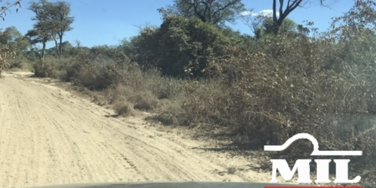 Fazenda em Cocalinho - Mato Grosso – Mil Fazendas