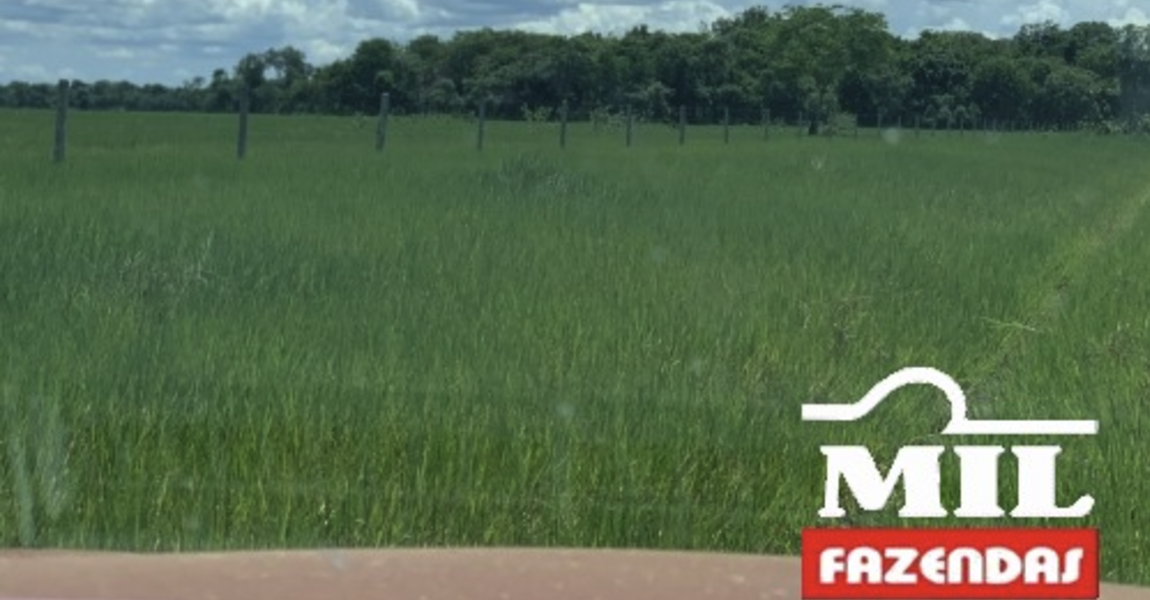 Fazenda em Cocalinho - Mato Grosso – Mil Fazendas