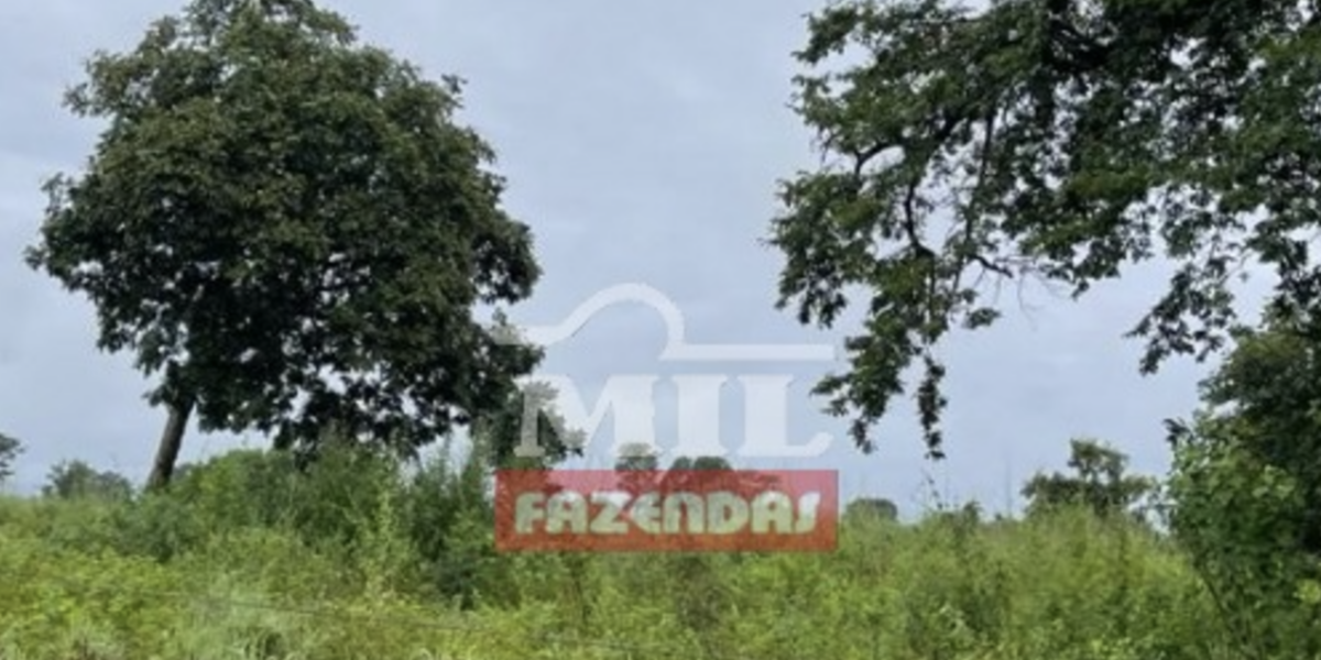 Fazenda em Cocalinho - Mato Grosso – Mil Fazendas