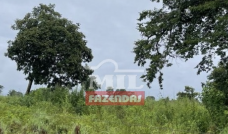 Fazenda em Cocalinho - Mato Grosso – Mil Fazendas