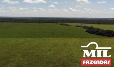 Fazenda em Colinas do Tocantins - Tocantins - Mil Fazendas