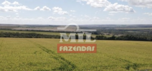 Fazenda em Cristalina - Goiás – Mil Fazendas