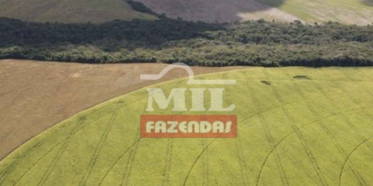 Fazenda em Cristalina - Goiás – Mil Fazendas