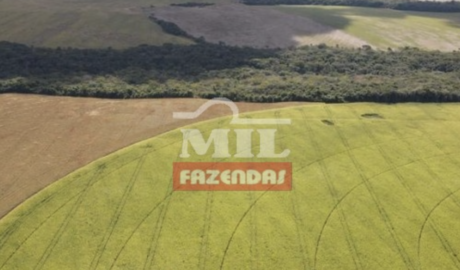 Fazenda em Cristalina - Goiás – Mil Fazendas