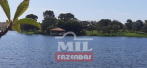 Fazenda em Edealina - Goiás – Mil Fazendas