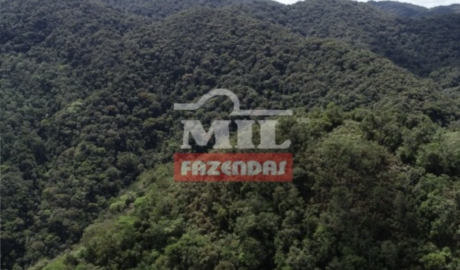 Fazenda em Eldorado - São Paulo – Mil Fazendas