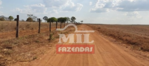 Fazenda em Formoso do Araguaia - Tocantins – Mil Fazendas