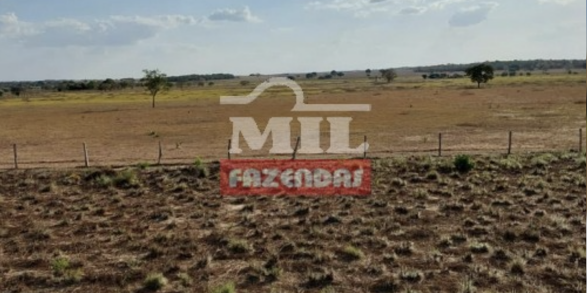 Fazenda em Formoso do Araguaia - Tocantins – Mil Fazendas