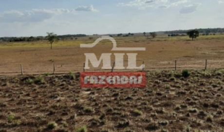 Fazenda em Formoso do Araguaia - Tocantins – Mil Fazendas