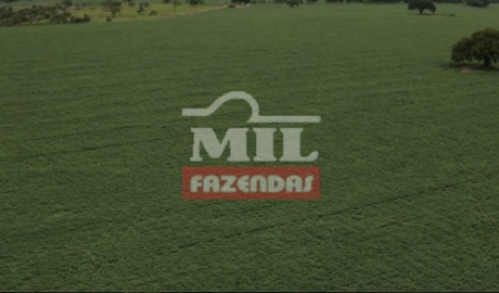 Fazenda em Goiânia - Goiás – Mil Fazendas