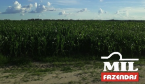 Fazenda em Goianorte - Tocantins – Mil Fazendas