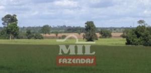 Fazenda em Imperatriz - Maranhão – Mil Fazendas